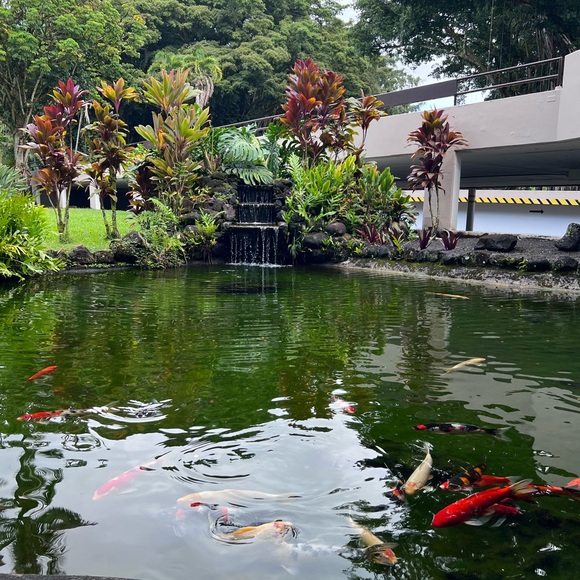 Meet your Posher, Aide - Picture 10 of 16